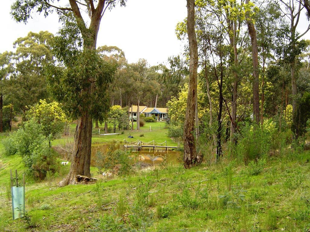 Countryside Retreat Romantic Tranquil Native Wildlife Township Hepburn - Daylesford Hepburn Springs Chambre photo