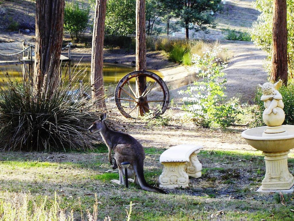 Countryside Retreat Romantic Tranquil Native Wildlife Township Hepburn - Daylesford Hepburn Springs Extérieur photo