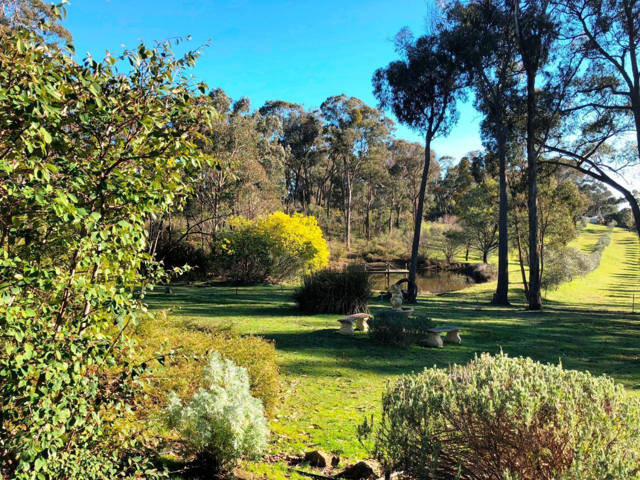 Countryside Retreat Romantic Tranquil Native Wildlife Township Hepburn - Daylesford Hepburn Springs Extérieur photo