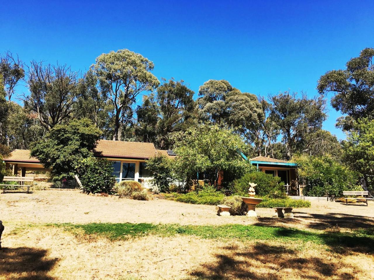 Countryside Retreat Romantic Tranquil Native Wildlife Township Hepburn - Daylesford Hepburn Springs Extérieur photo
