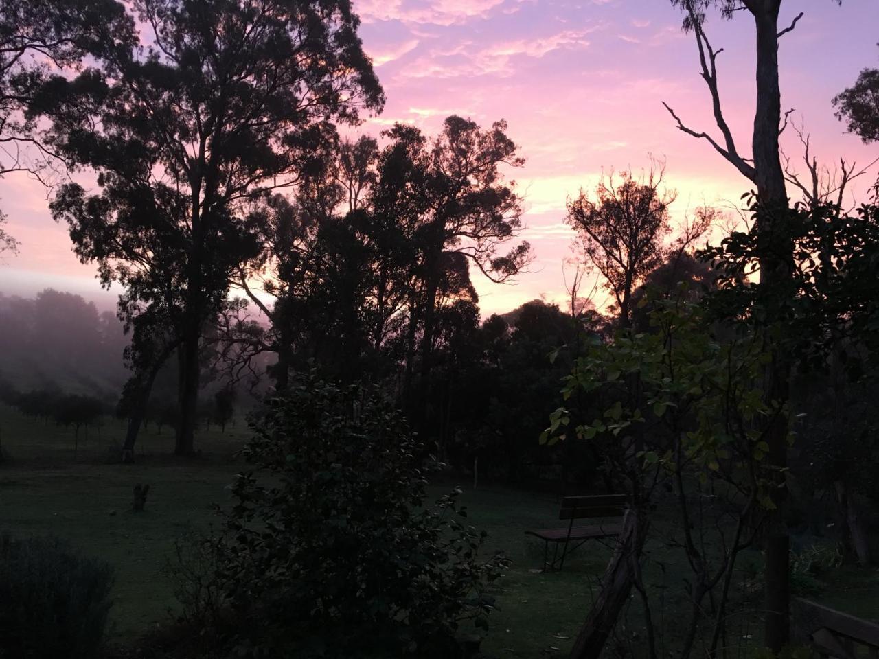 Countryside Retreat Romantic Tranquil Native Wildlife Township Hepburn - Daylesford Hepburn Springs Extérieur photo