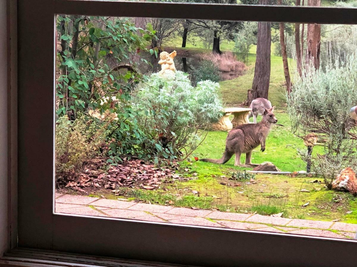 Countryside Retreat Romantic Tranquil Native Wildlife Township Hepburn - Daylesford Hepburn Springs Extérieur photo