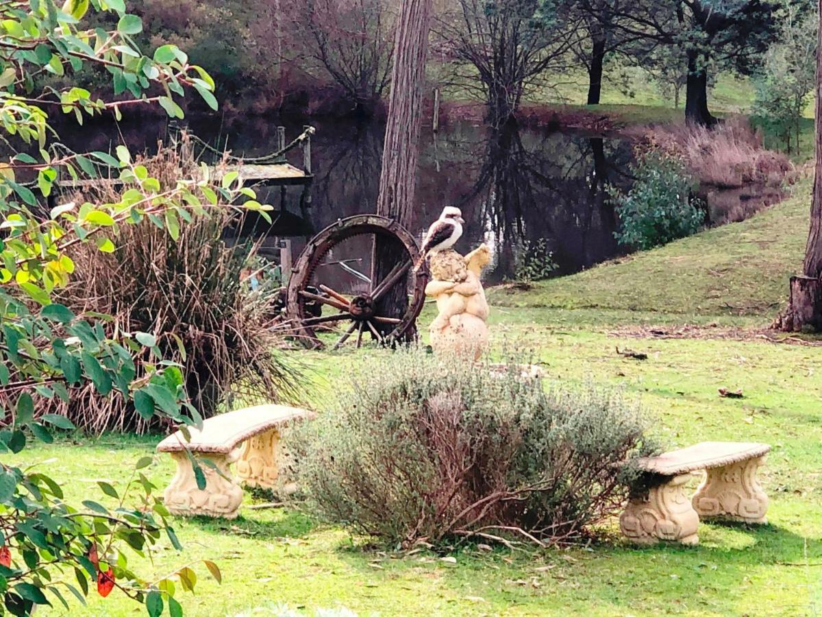 Countryside Retreat Romantic Tranquil Native Wildlife Township Hepburn - Daylesford Hepburn Springs Extérieur photo